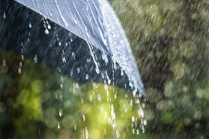 Staying at a Hotel During Bangkok Flooding? 7 Ways to Handle It Without Panicking